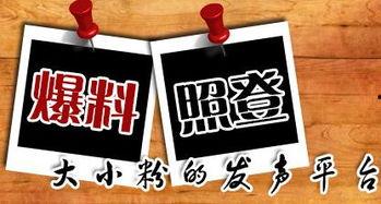 最新龙吟爆料新闻,揭秘神秘龙族势力崛起背后的真相 第1张 最新龙吟爆料新闻,揭秘神秘龙族势力崛起背后的真相 第1张